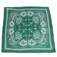 Paisley Silky Scarf