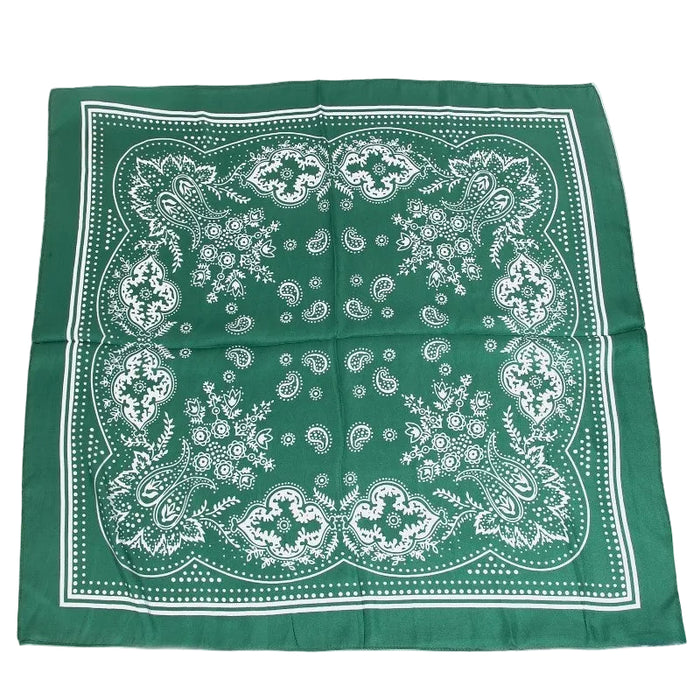 Paisley Silky Scarf