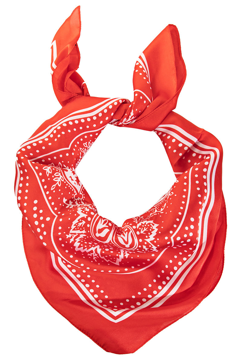 Paisley Silky Scarf
