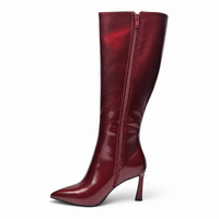 Sloane Pointed Toe Stiletto Knee High Boot