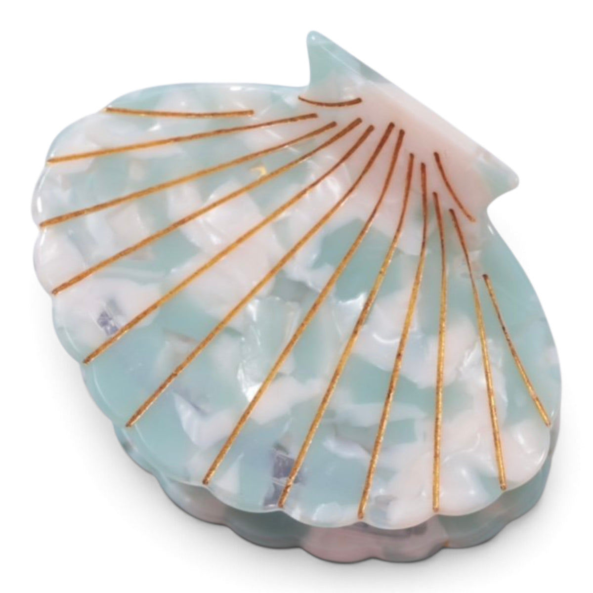 Scallop Seashell Large Hair Clip
